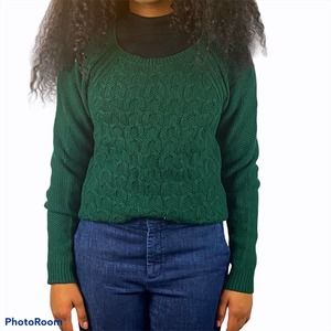 Max Studio Women’s Merino Green Sweater